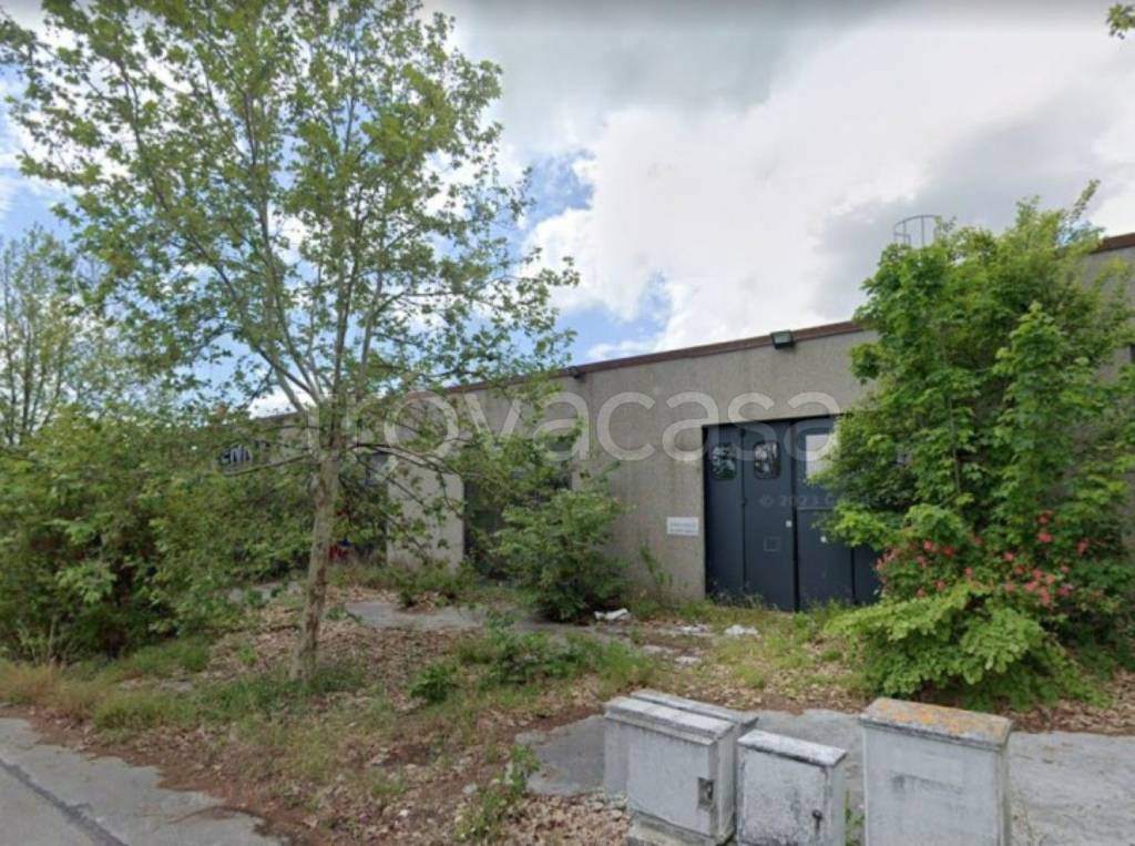 immagine annuncio 1 di 11