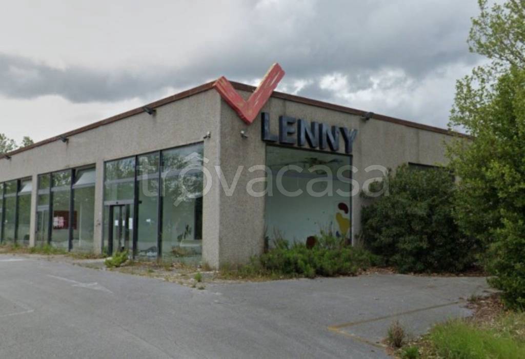 immagine annuncio 2 di 11