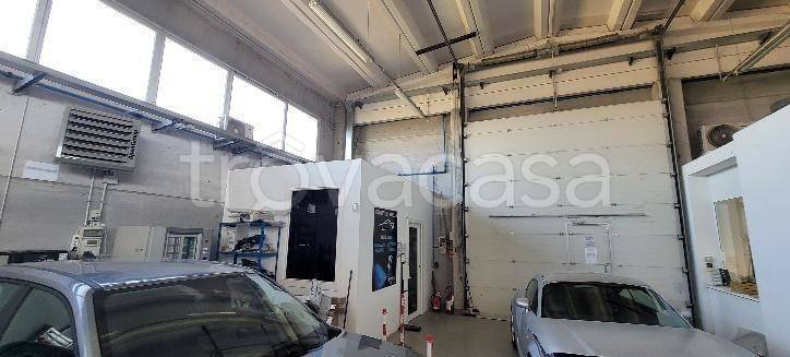 immagine annuncio 3 di 13