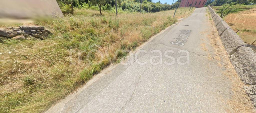 immagine annuncio 11 di 15