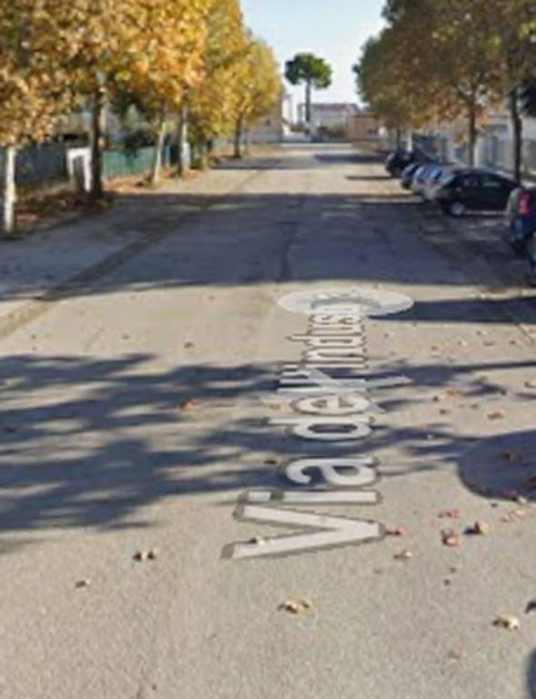 immagine annuncio 9 di 11