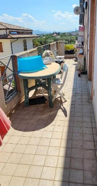 immagine annuncio 1 di 9