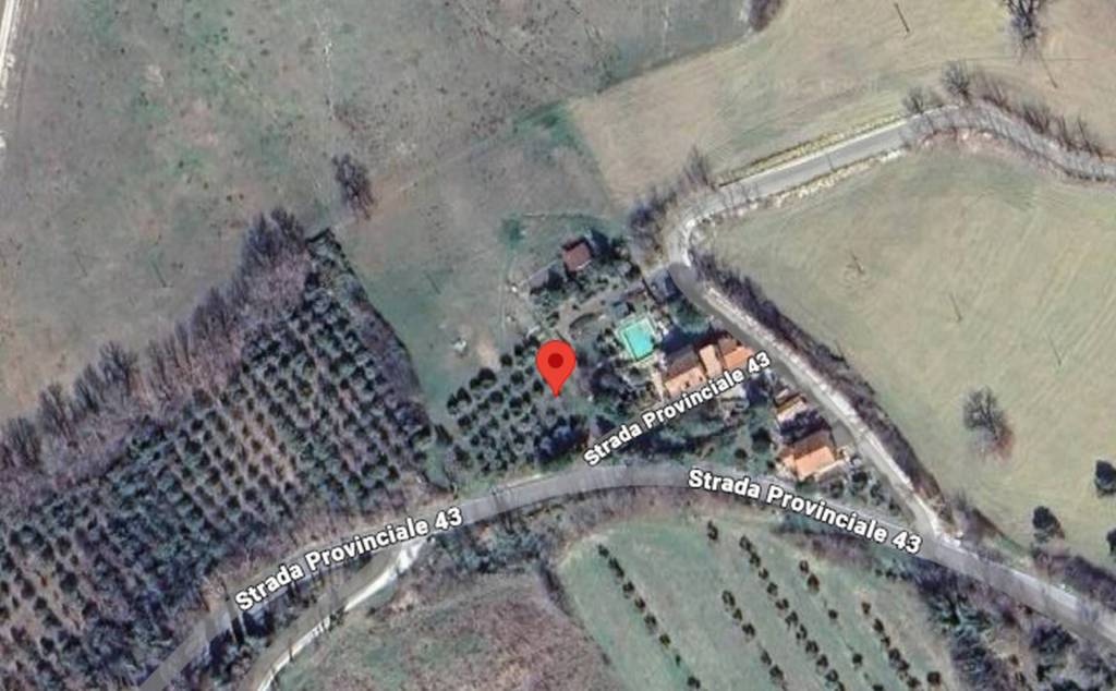 immagine annuncio 8 di 12