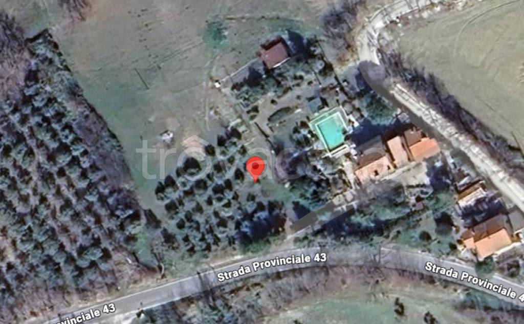 immagine annuncio 9 di 12