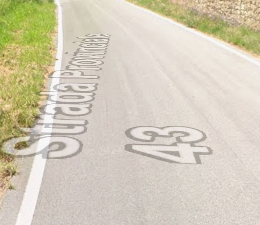 immagine annuncio 3 di 12