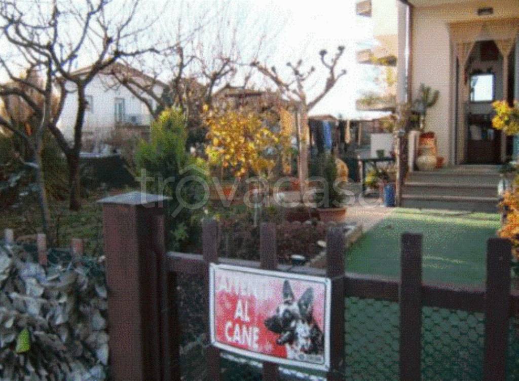 immagine annuncio 2 di 11