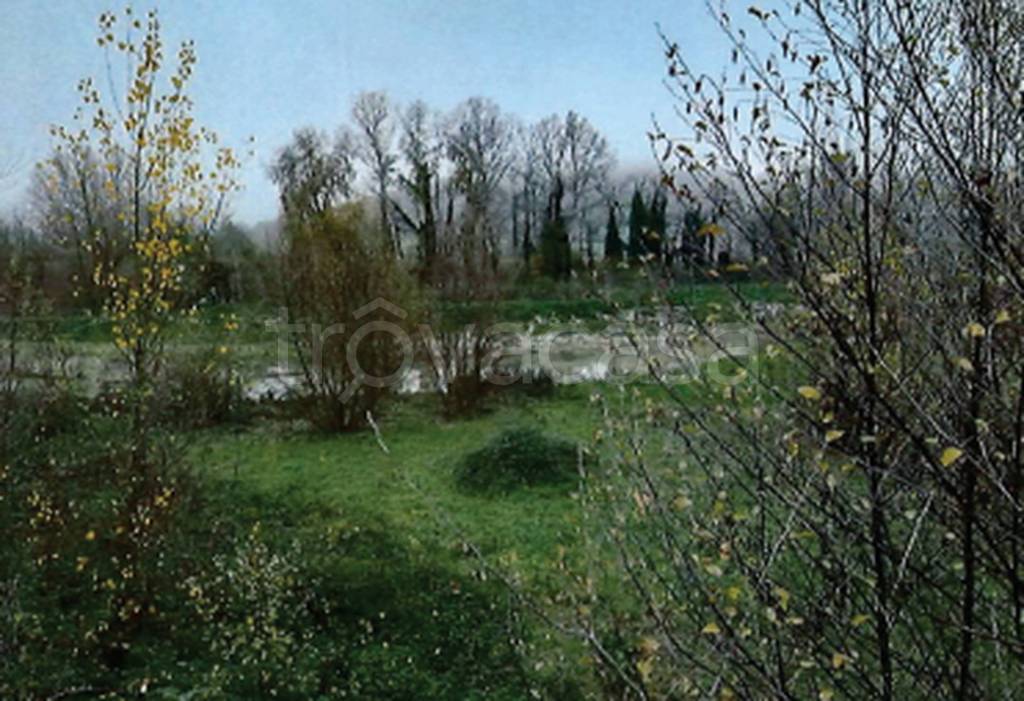 immagine annuncio 2 di 11