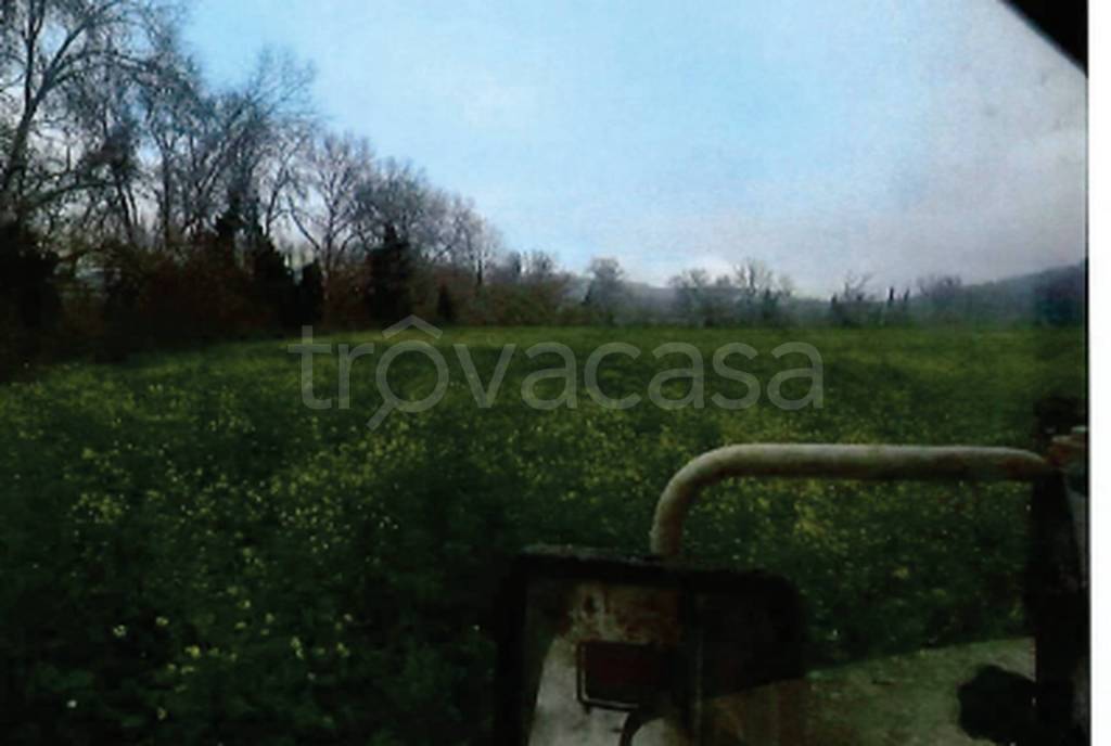 immagine annuncio 4 di 11