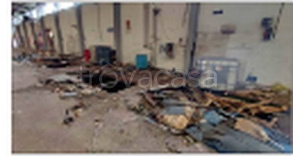 immagine annuncio 4 di 11