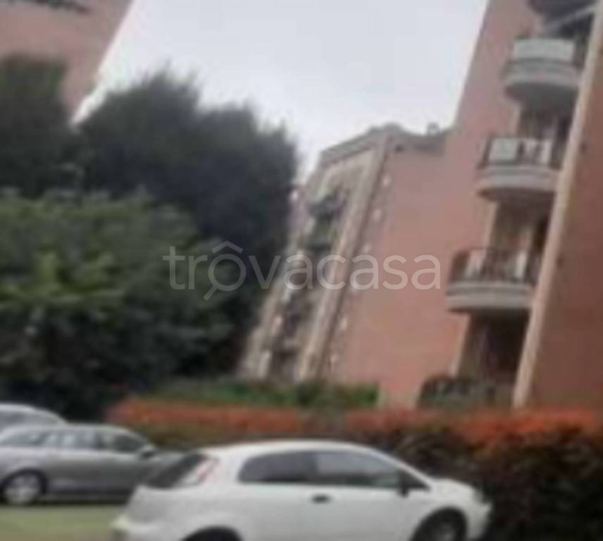 immagine annuncio 9 di 12