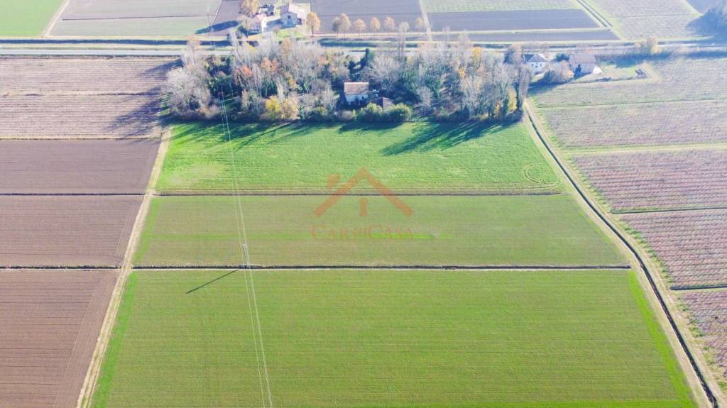 immagine annuncio 4 di 7