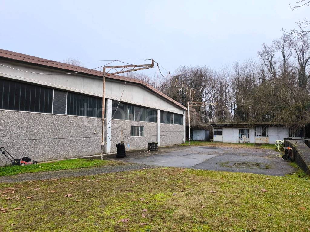 immagine annuncio 7 di 15