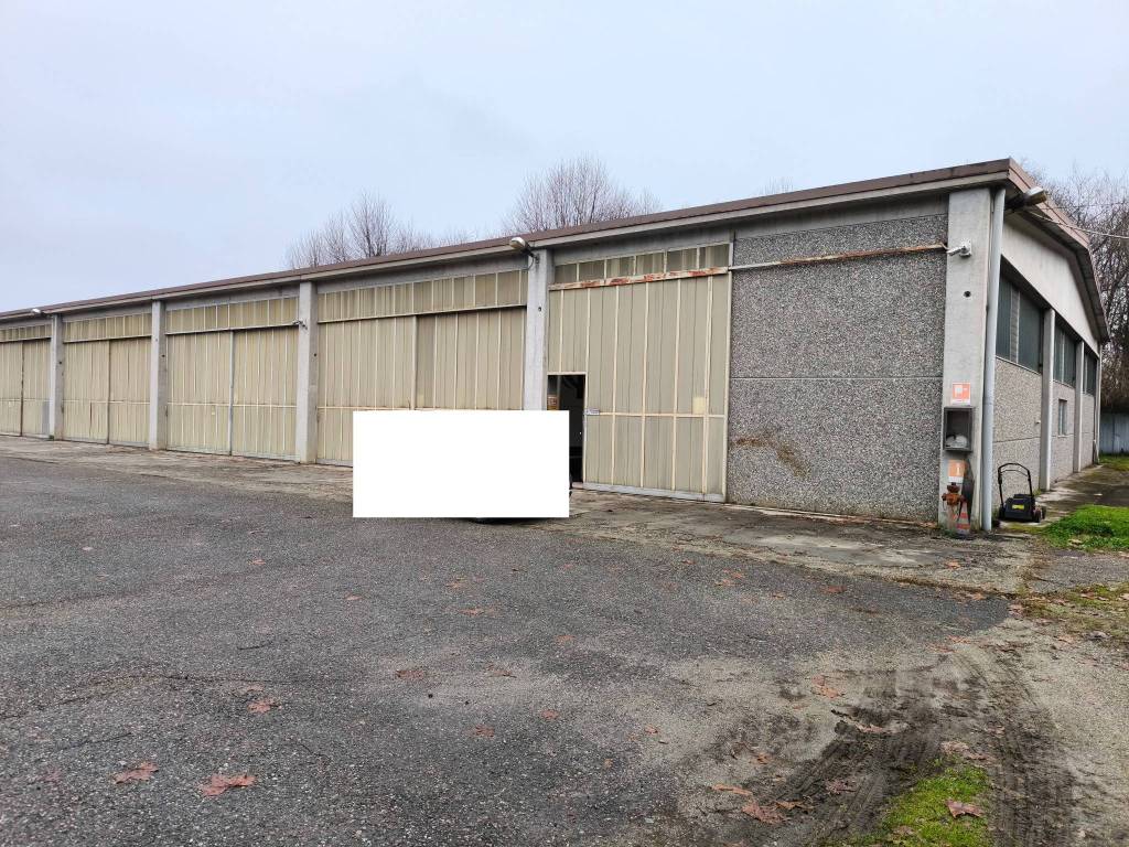 immagine annuncio 6 di 15