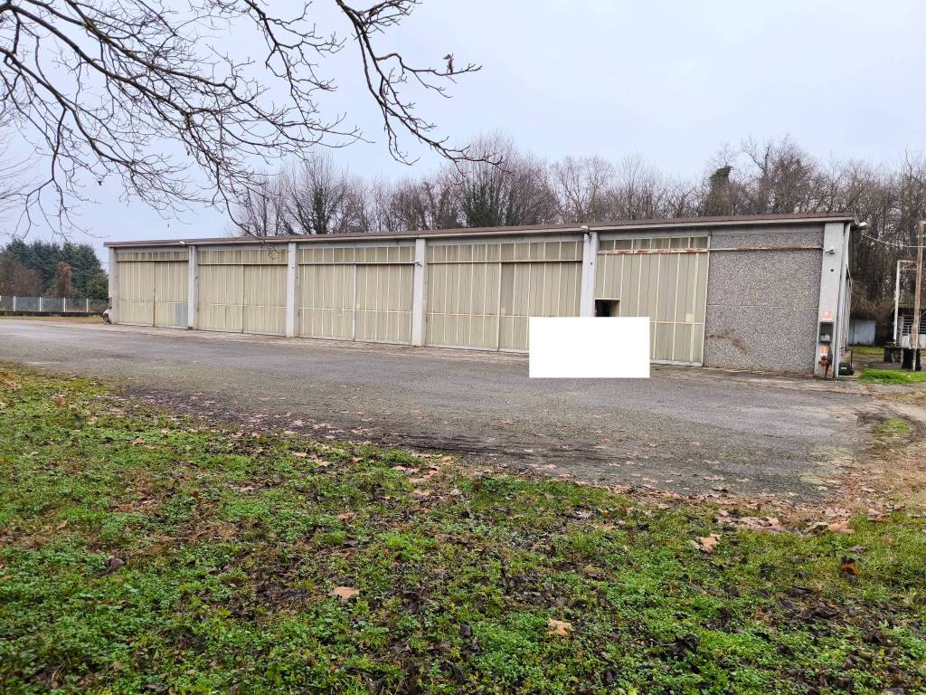 immagine annuncio 4 di 15