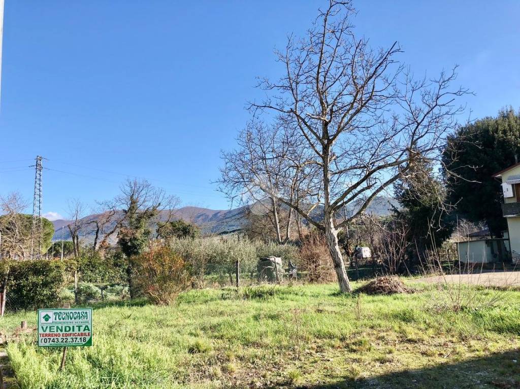 immagine annuncio 2 di 7