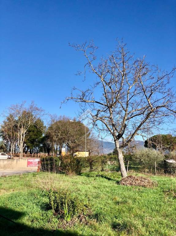 immagine annuncio 4 di 7