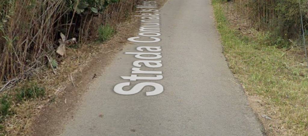 immagine annuncio 1 di 11