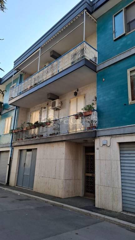 immagine annuncio 1 di 14