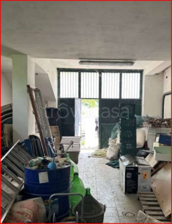 immagine annuncio 7 di 11