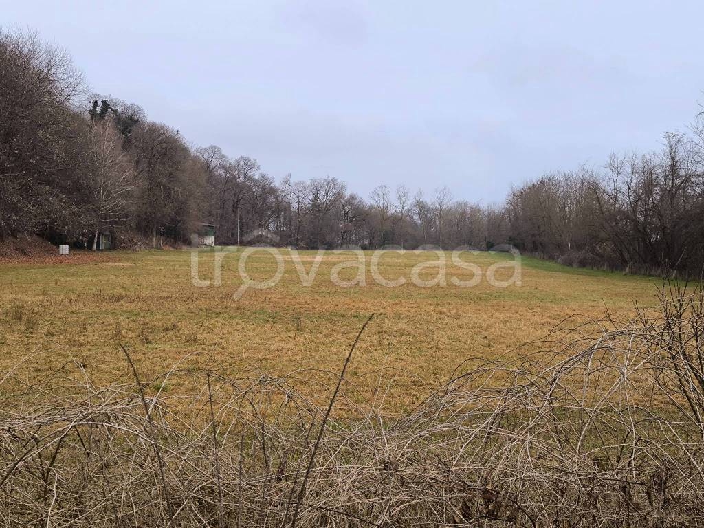 immagine annuncio 3 di 6