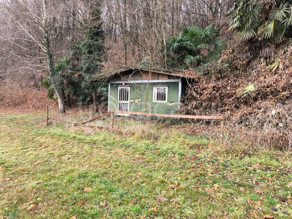 immagine annuncio 2 di 6