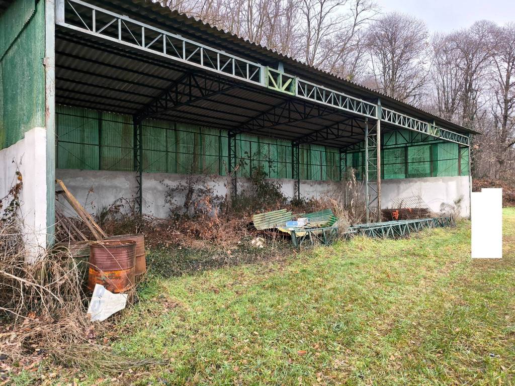 immagine annuncio 1 di 6