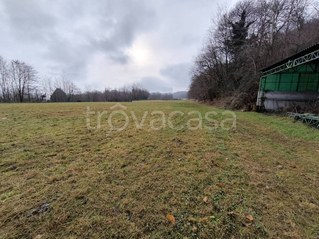 immagine annuncio 5 di 6