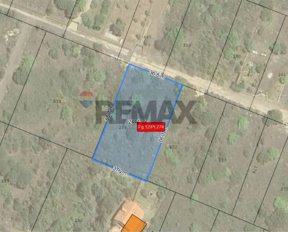 immagine annuncio 2 di 4