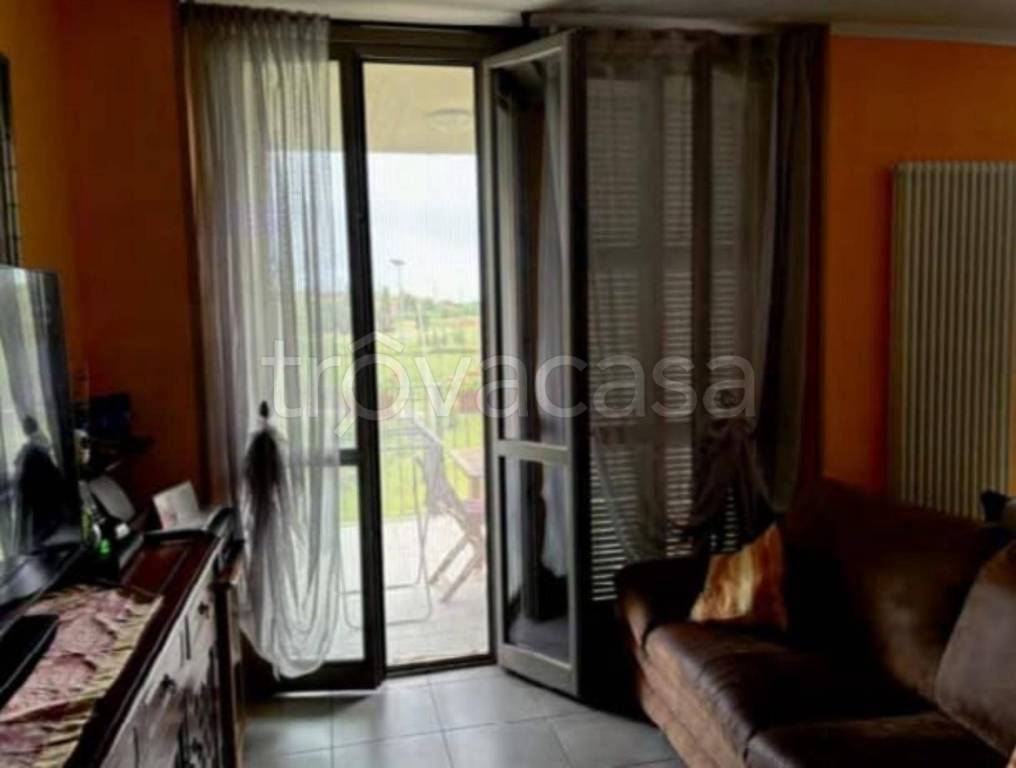 immagine annuncio 6 di 11