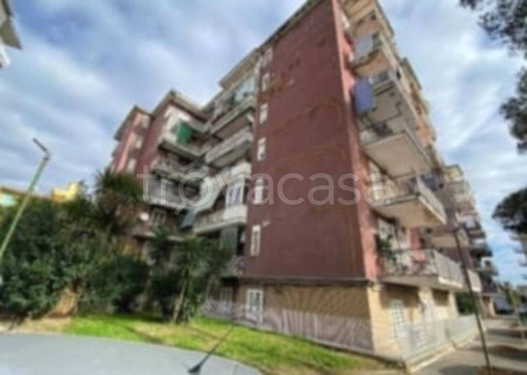 immagine annuncio 2 di 11