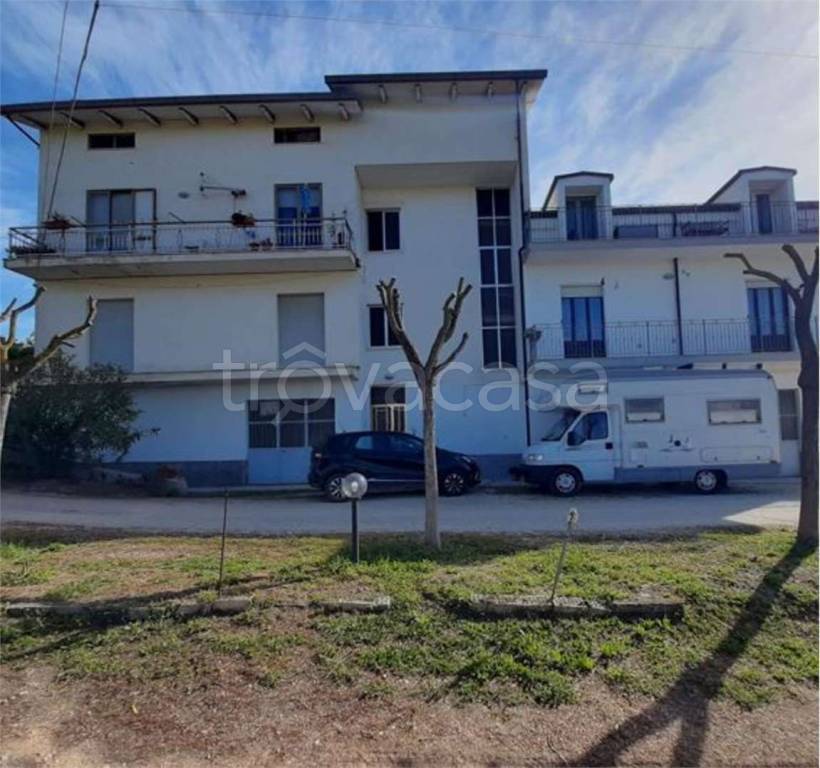 immagine annuncio 1 di 14