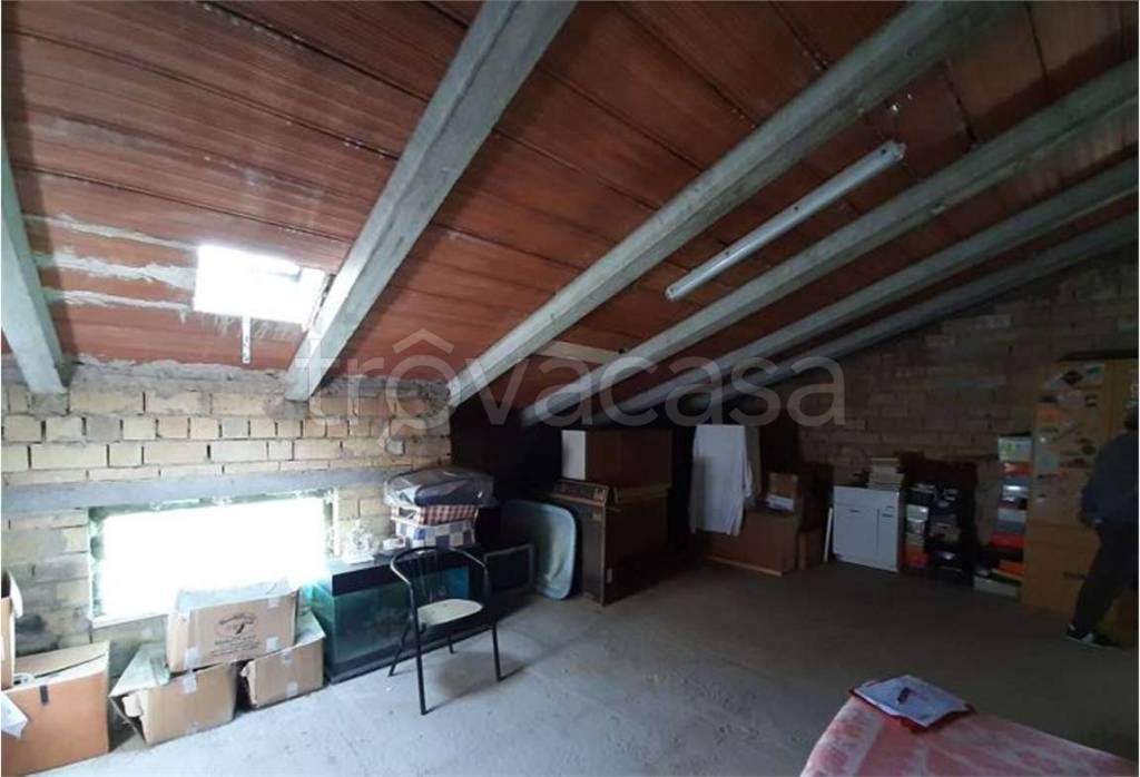 immagine annuncio 11 di 14