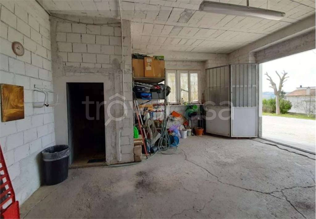 immagine annuncio 12 di 14