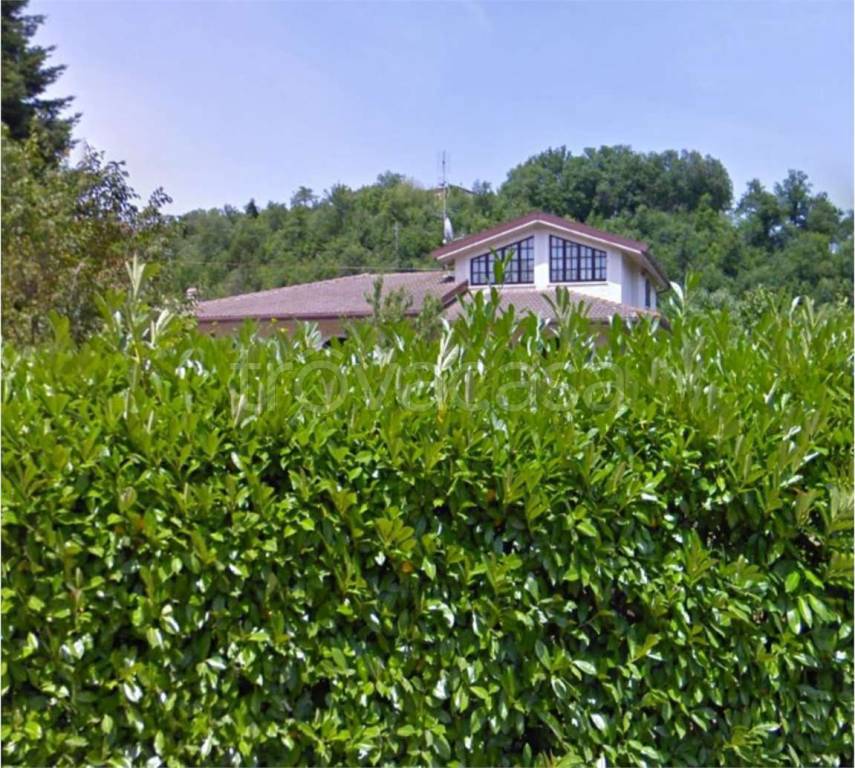 immagine annuncio 4 di 14