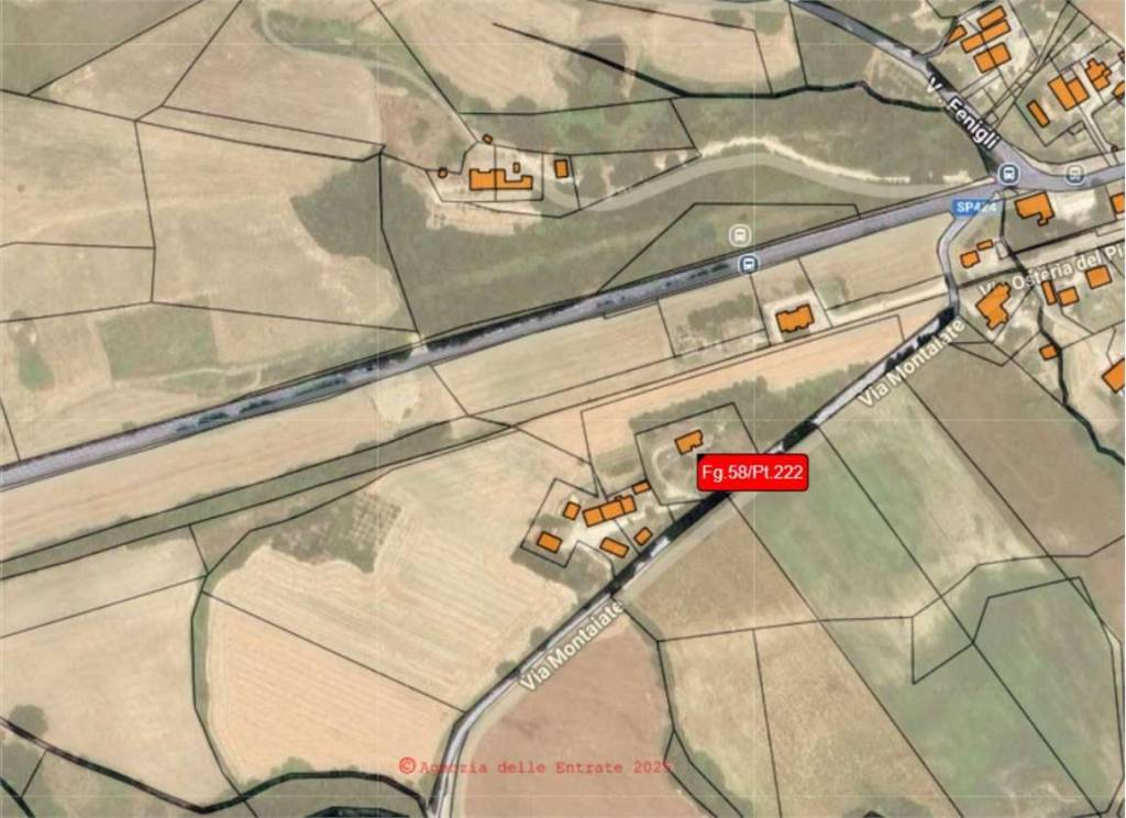 immagine annuncio 6 di 14