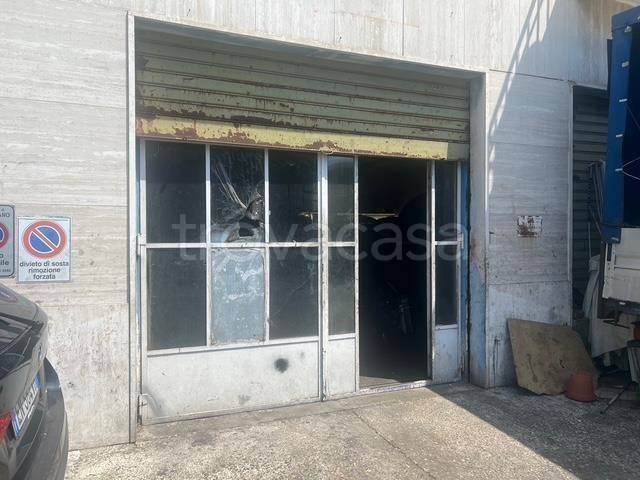 immagine annuncio 6 di 14