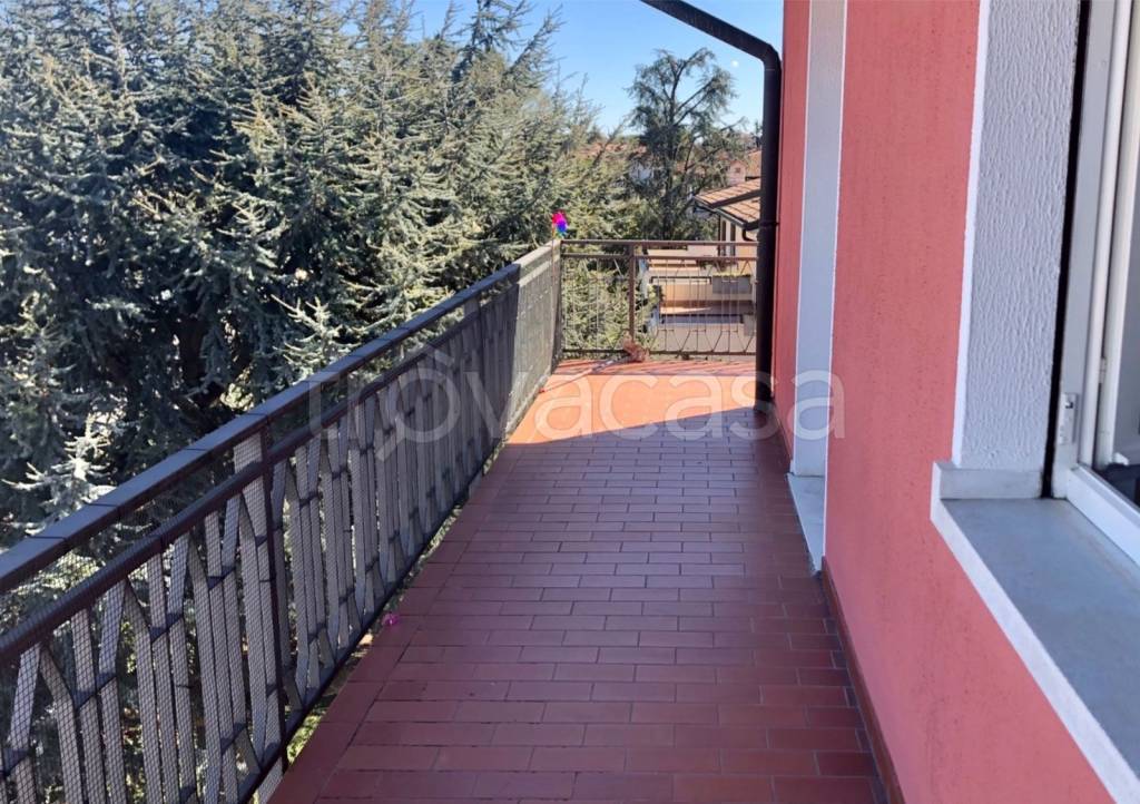 immagine annuncio 6 di 14