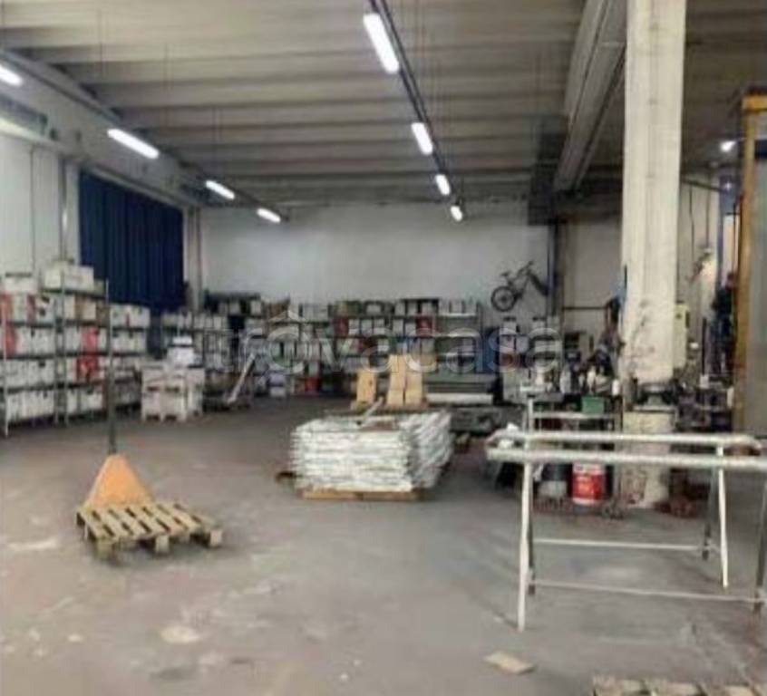 immagine annuncio 3 di 12