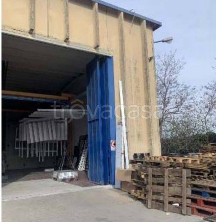 immagine annuncio 5 di 12