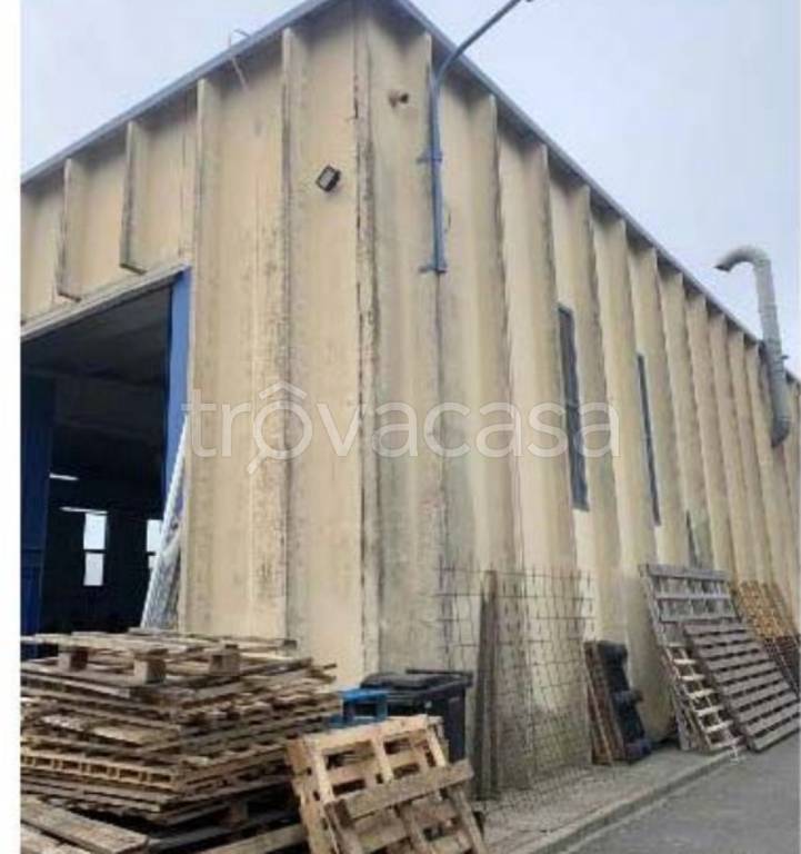 immagine annuncio 6 di 12