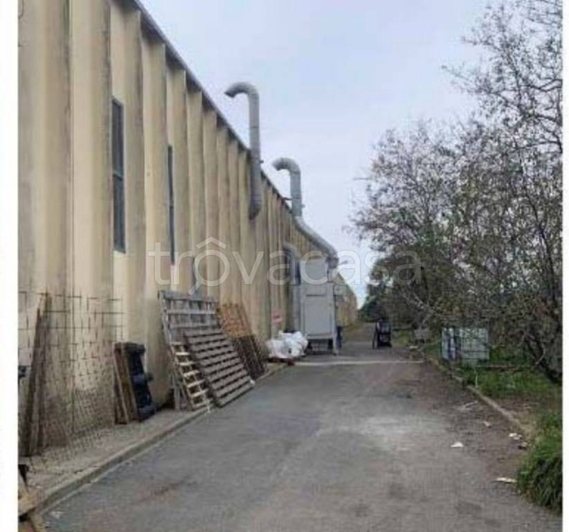 immagine annuncio 7 di 12