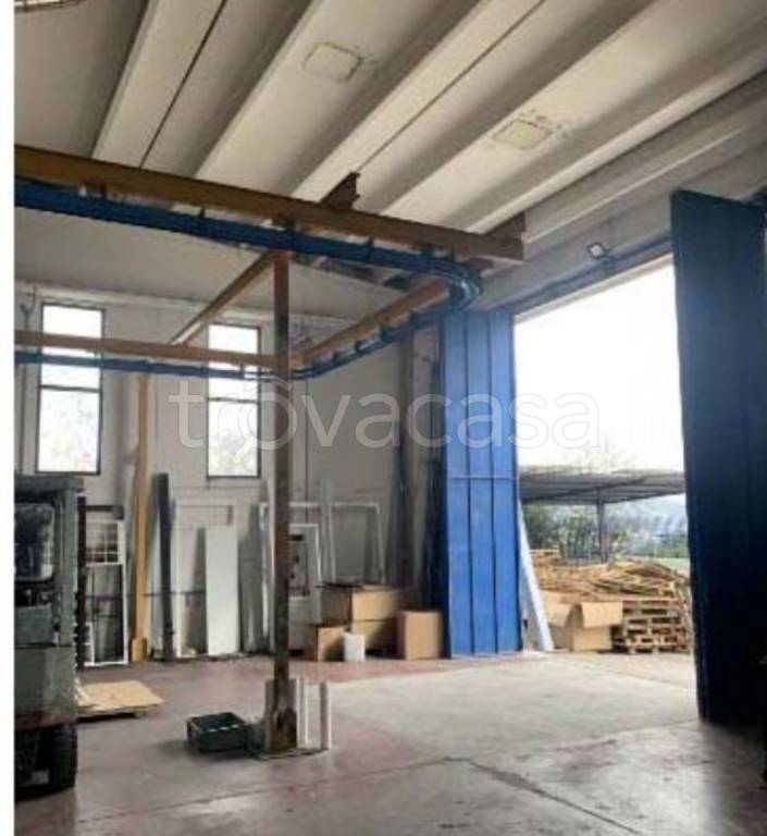 immagine annuncio 10 di 12