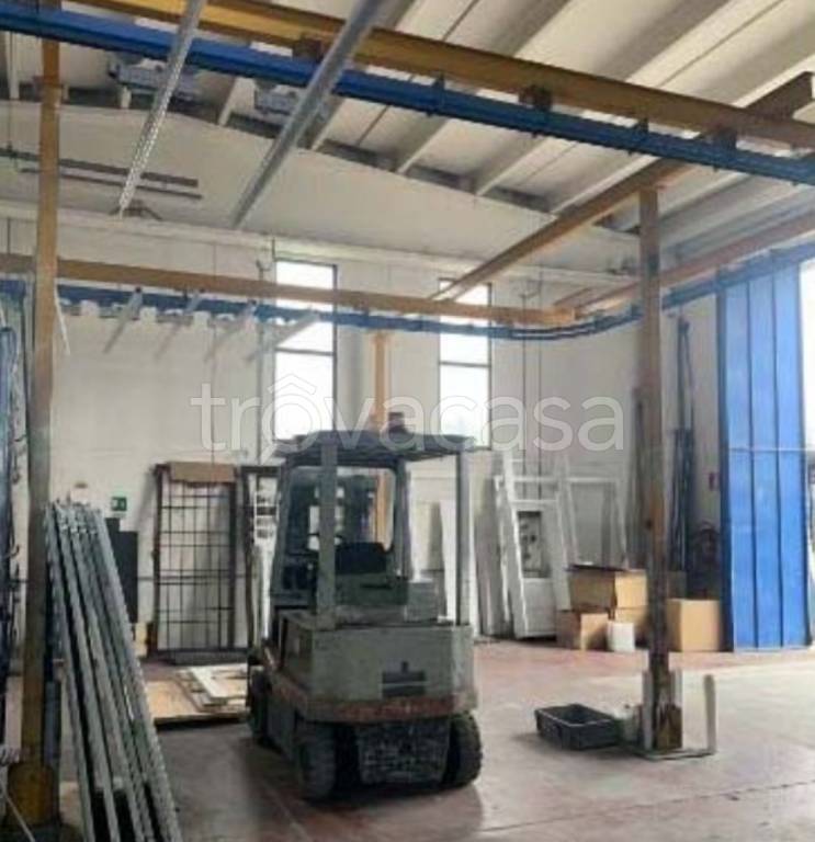 immagine annuncio 11 di 12