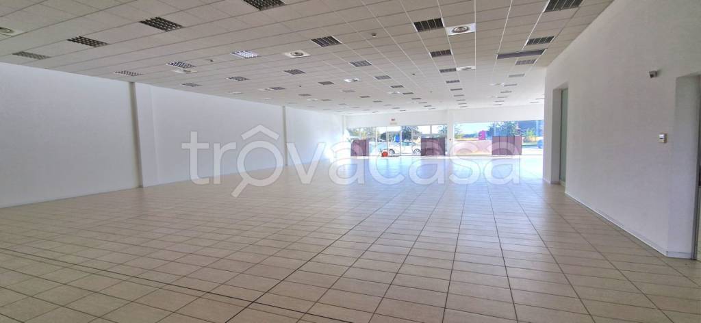 immagine annuncio 1 di 2