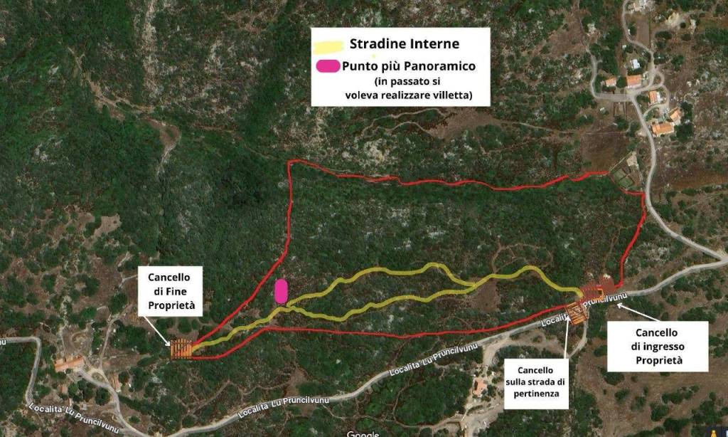 immagine annuncio 9 di 11