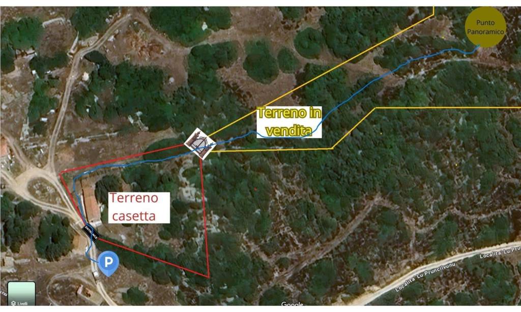 immagine annuncio 10 di 11