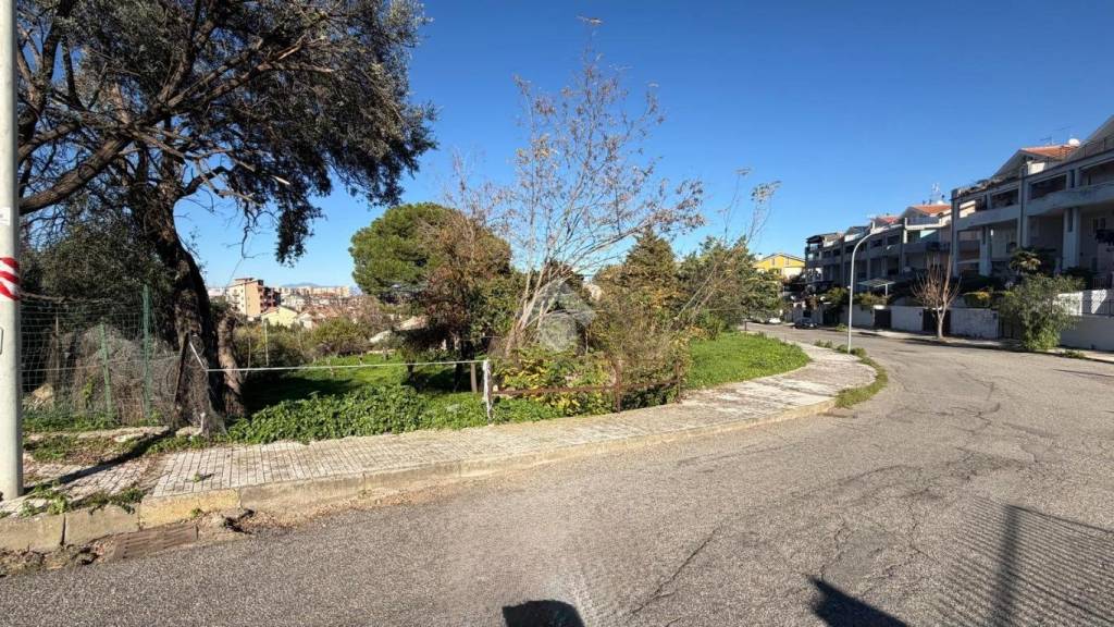 immagine annuncio 1 di 6