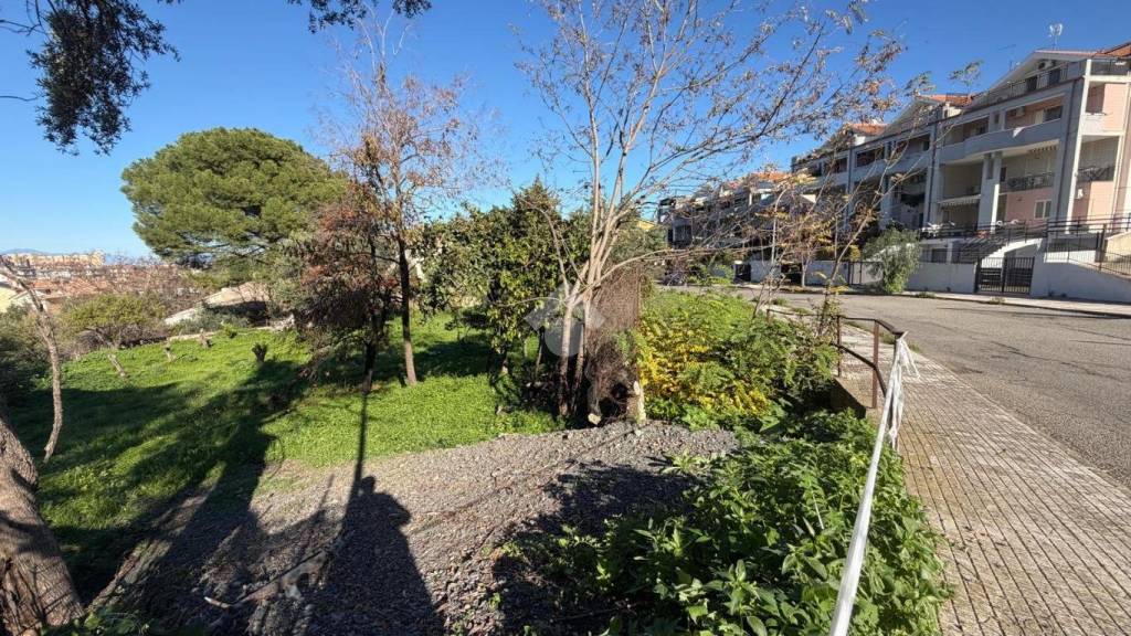 immagine annuncio 5 di 6