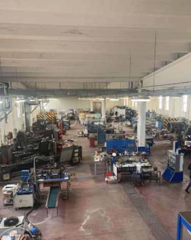 immagine annuncio 2 di 11