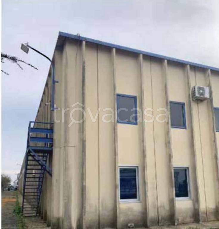 immagine annuncio 7 di 11